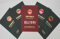 實用新型專利轉(zhuǎn)讓平臺：搭建技術(shù)創(chuàng)新與產(chǎn)業(yè)協(xié)同的橋梁