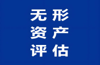知識產(chǎn)權(quán)評估